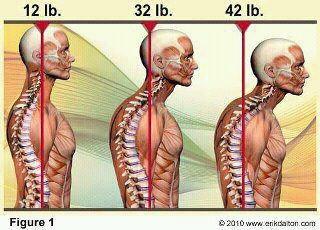 head weight